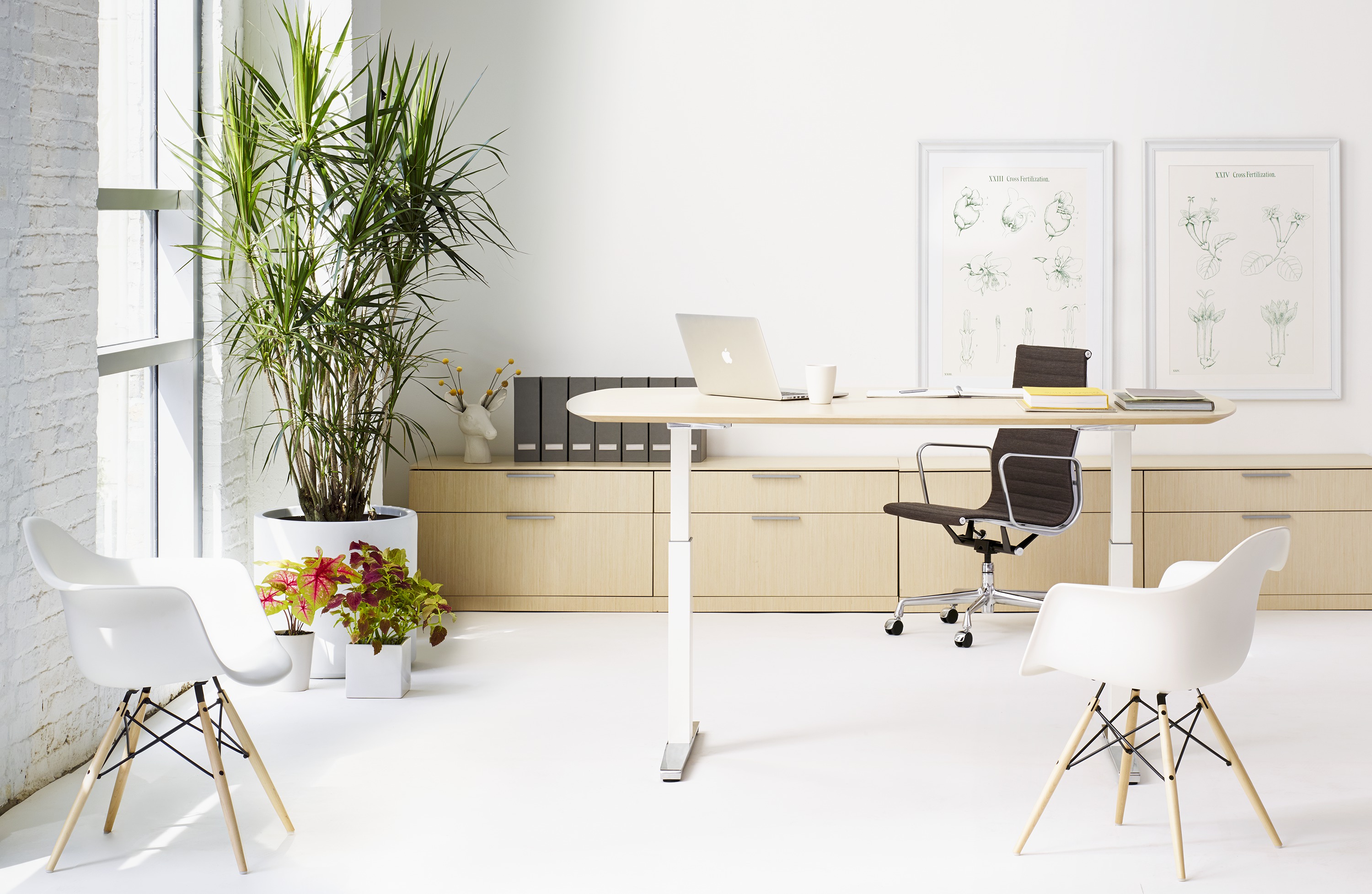 乐竞平台 - 坐具|休闲椅|办公家具|设计师家具|伊姆斯®塑料扶手椅